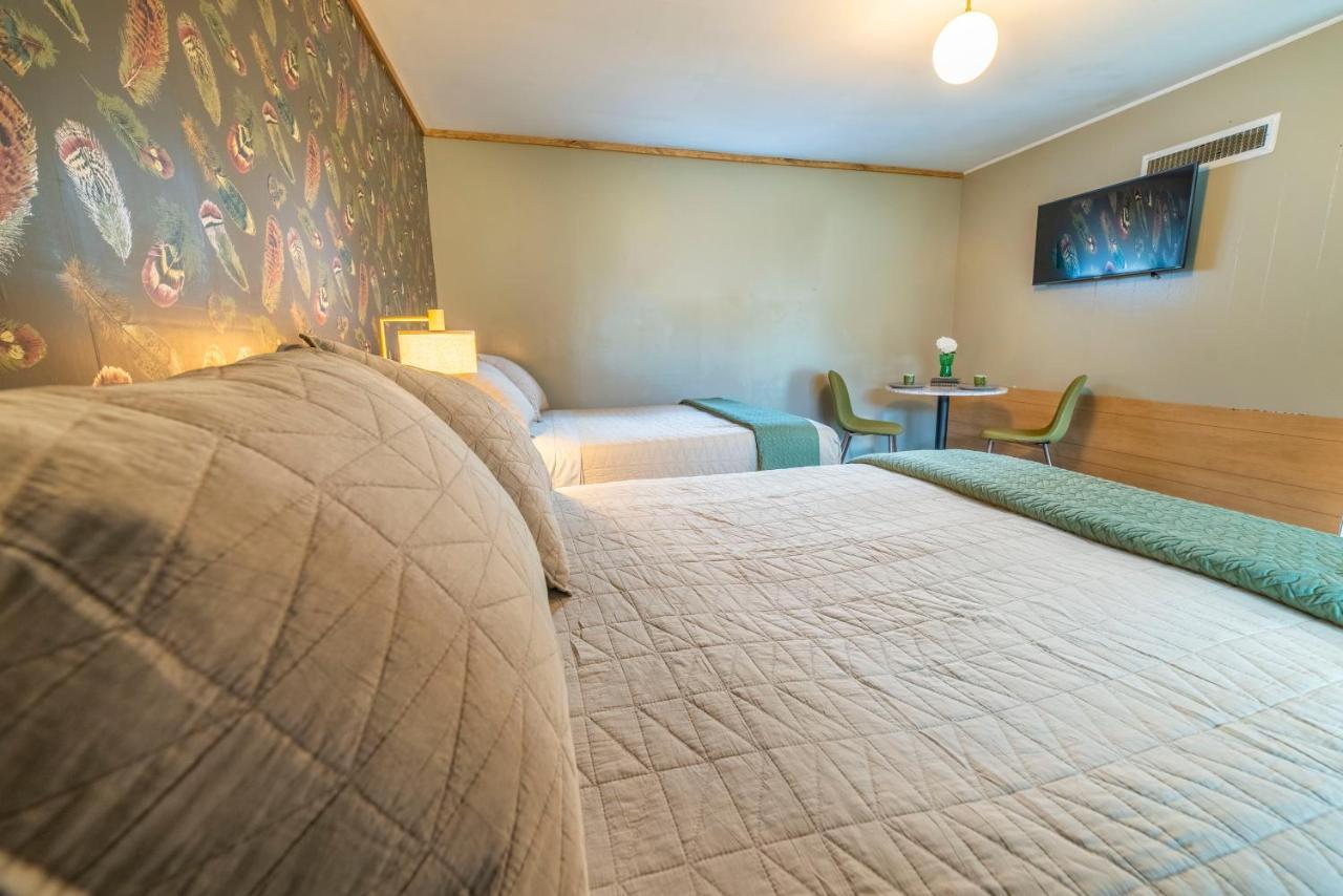 The Springs Motel 뉴애쉬포드 외부 사진
